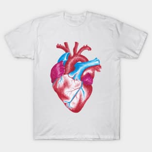 Human heart - anatomical in Pen & Ink - Handadrawn T-Shirt